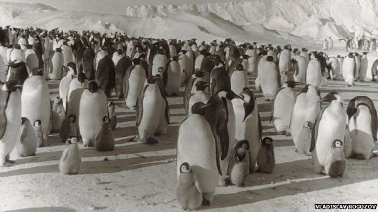 &#034;Todo o exotismo da Antártida acabou em dois meses&#034;, disse o médico, exausto, em seu diário