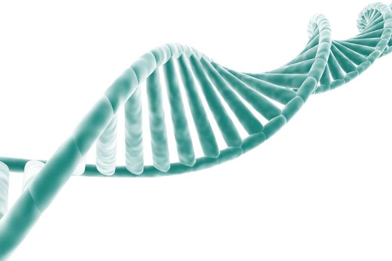 A proteína clonada do DNA humano chama as células responsáveis pela produção de osso para a região dos seios faciais e as estimula a produzir mais osso