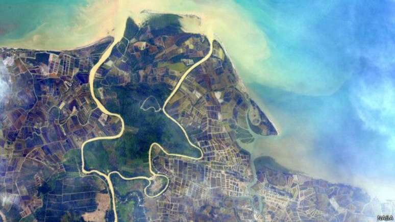 Campos do sudeste asi&aacute;tico 6