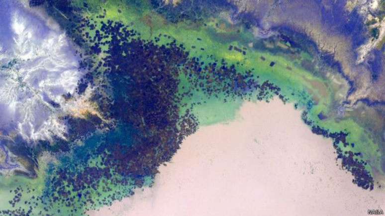 O astronauta se surpreendeu com a presença da cor verde nos desertos africanos