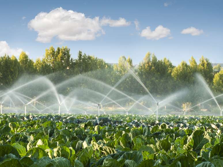 Produto analisa as condições de temperatura e umidade do solo para liberar a quantidade exata de água na irrigação