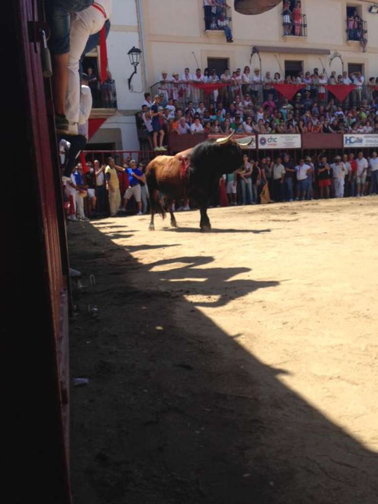 Espanhol foi atingido por touro antes de conseguir chegar às barras de segurança instaladas no local