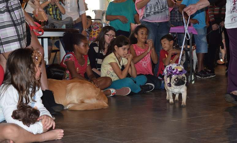 Realizado em Bauru, o Arraiáu dos Pets, reuniu cães vestidos com tema das festas juninas