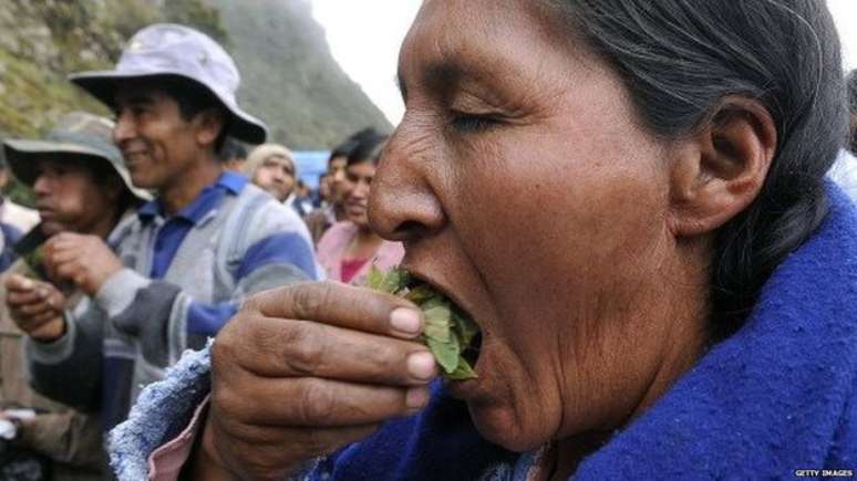 Mastigar folhas de coca é uma tradição antiga na região dos Andes, onde ela é usada para combater os males da altitude