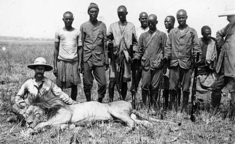 Caçadas ajudaram a dizimar o leão-do-atlas no século 20