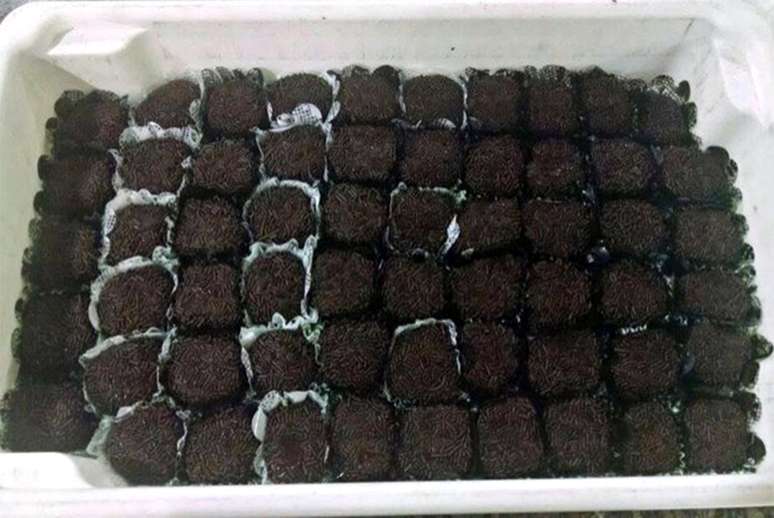 Foram apreendidos 64 brigadeiros recheados de maconha