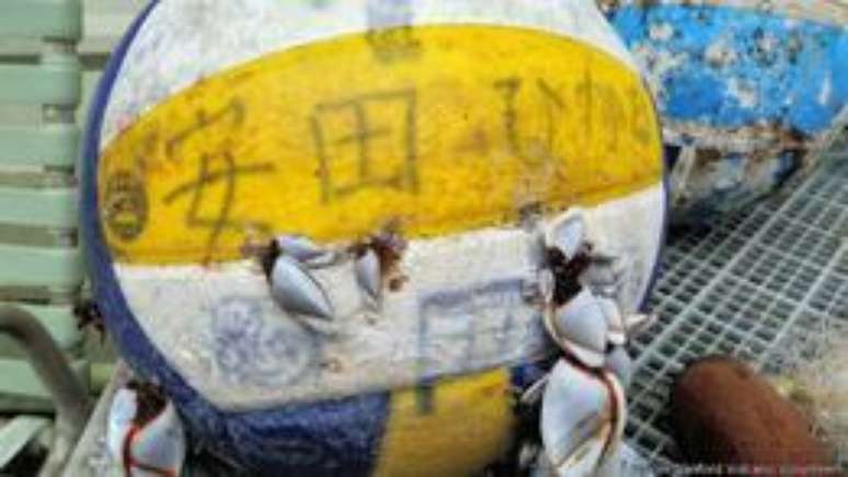 Objetos levados pelo tsunami foram encontrados no Havaí, como esta bola em 2013, com a palavra 'leve'