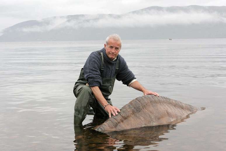 Pesquisador acredita que o monstro era apenas um peixe gigante