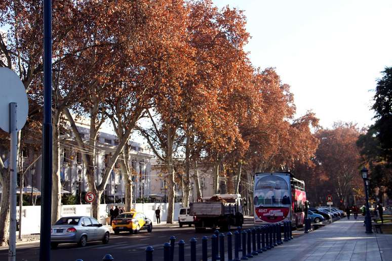 Canaletas irrigam as árvores do centro da cidade