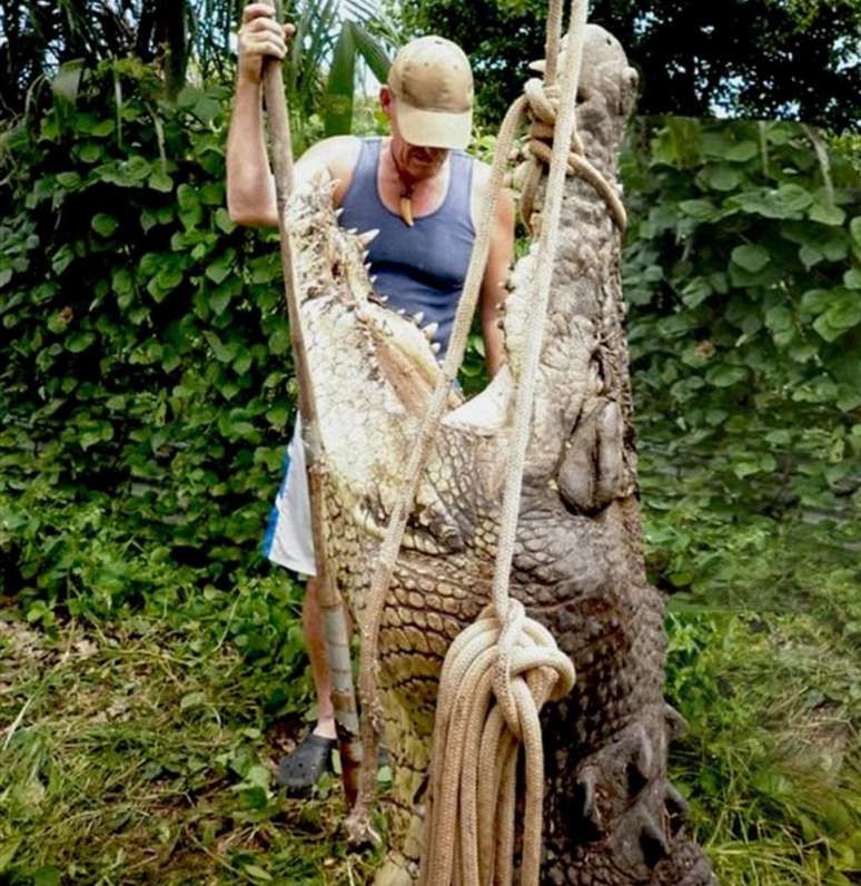 Crocodilo capturado na Austrália com quase cinco metros. (Foto de arquivo)