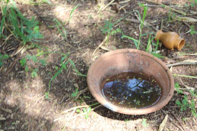 Vaso com água parada foi encontrado em uma das áreas do cemitério
