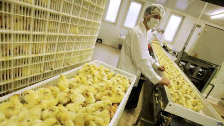 Segundo Batista, empresa tem 120 mil funcion&aacute;rios no Brasil e 70 mil nos EUA