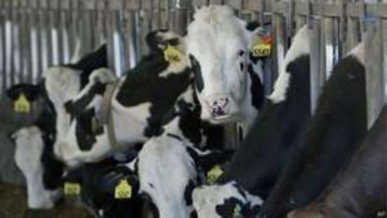 Batista: 'Quando (o presidente) Juscelino (Kubitschek) decidiu erguer Bras&iacute;lia, meu pai foi vender carne para as empresas que estavam construindo a cidade em uma precariedade danada'