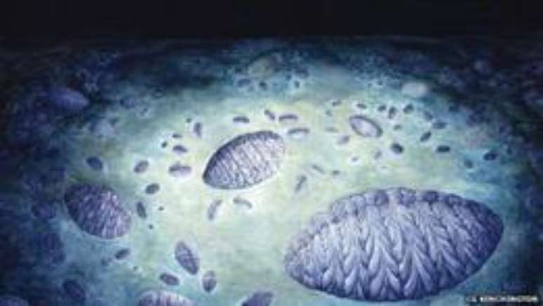 Imagem feita por artista mostra como era uma comunidade de Fractofusus há 565 milhões de anos