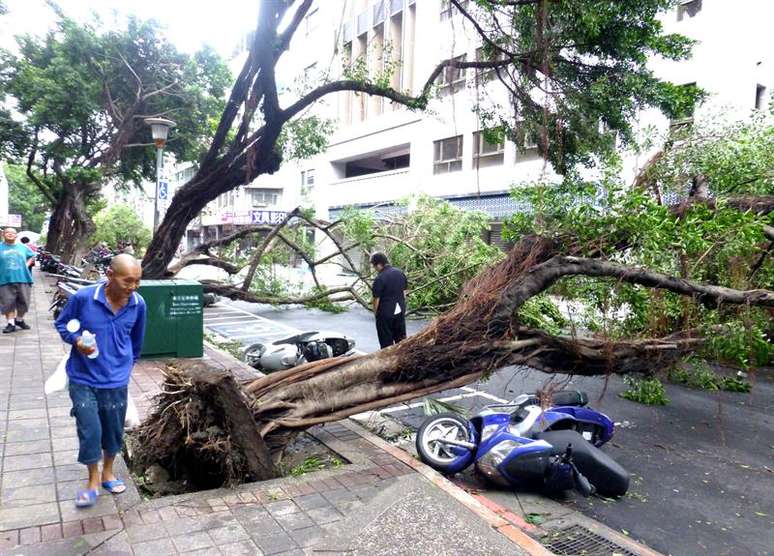 Os fortes ventos e chuvas provocaram a queda de várias árvores, semáforos e postes elétricos, o que deixou sem luz cerca de 1,87 milhão de famílias.