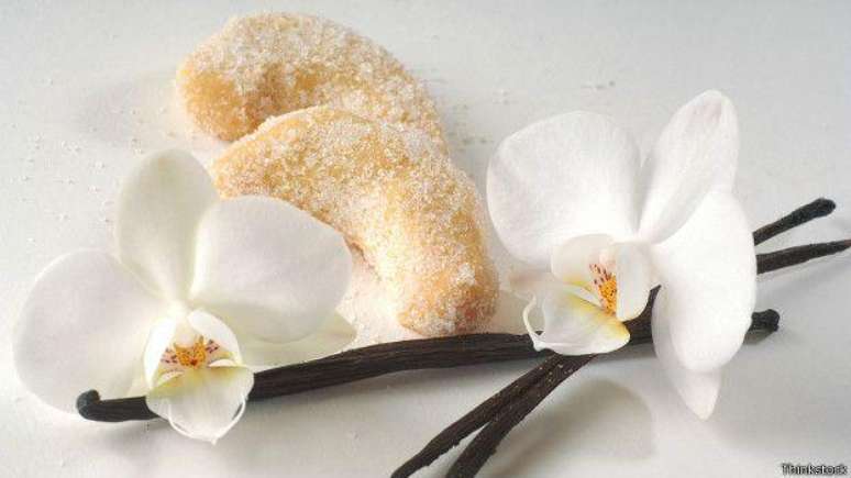 As orqu&iacute;deas podem ser consideradas as 'pervertidas' do mundo vegetal, segundo Warren