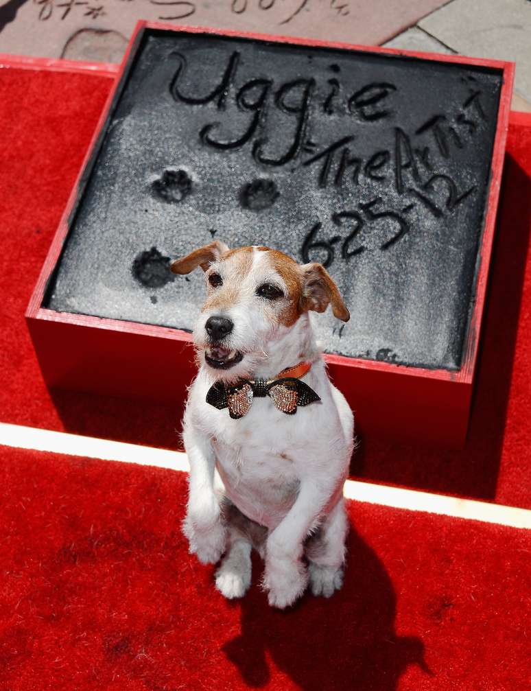 Uggie, o cachorro de &#034;O Artista&#034; ao ganhar um Academy Award de Melhor Filme, teve a patinha imortalizada em cerimônia Chinese Theatre em junho de 2012, em Hollywood, California