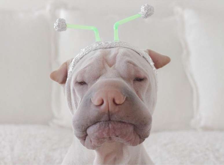 Paddington posa como um ET