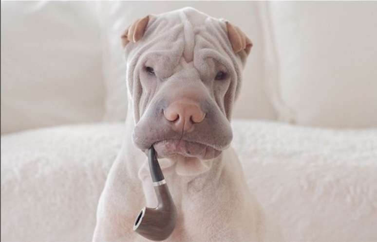 &ldquo;Estou esperando pelo meu jantar, m&atilde;e&rdquo;