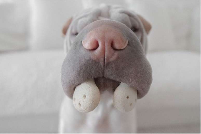 &ldquo;Beijos de hipop&oacute;tamo&rdquo;