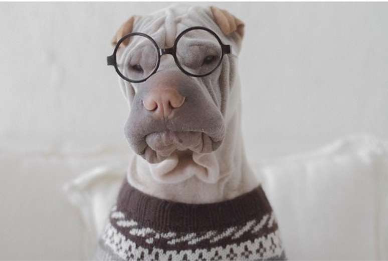 &ldquo;Tentando explicar para o Paddy o motivo de ter que trabalhar todo o fim de semana. N&atilde;o est&aacute; dando certo&rdquo;