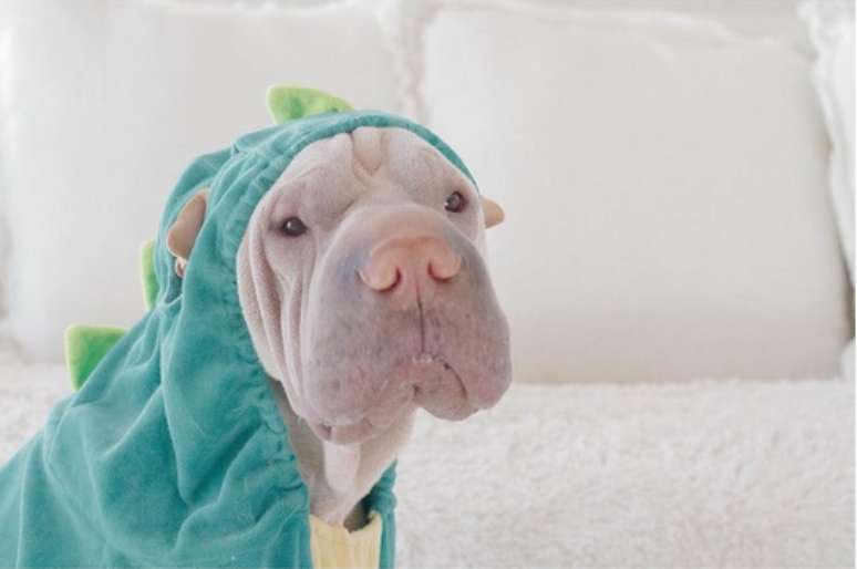 Esperando no estilo dinossauro por um &ldquo;jantar de dinossauro&rdquo;