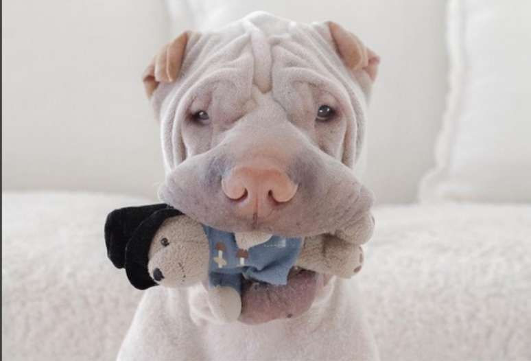 &ldquo;Encontrei este intruso na minha caixa de brinquedos, m&atilde;e&rdquo;