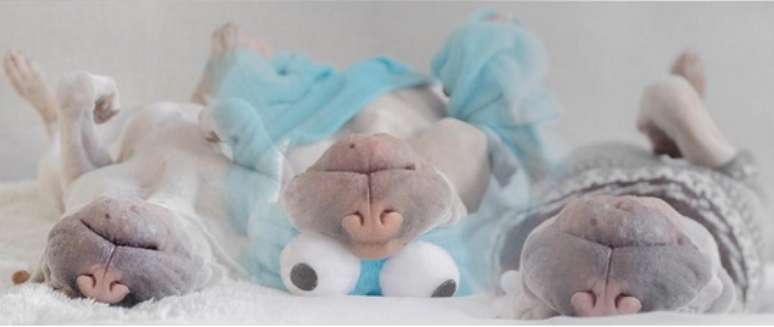 &ldquo;Paddington est&aacute; sonhando com as v&aacute;rias maneiras que pode aproveitar o domingo&rdquo;