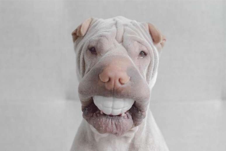 Um charme esse sorriso para celebrar a sexta-feira, n&atilde;o?