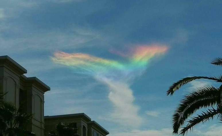 Arco circum-horizontal, mais conhecido como "arco-íris de fogo", foi registrado na Carolina do Sul 