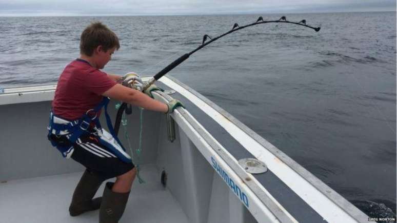 Koen Norton estava no barco da família quando pescou peixe no último domingo
