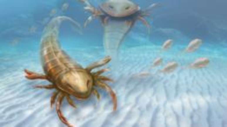 Criatura, que viveu há 467 milhões de anos, tinha corpo estreito, cabeça achatada e podia chegar a até dois metros de comprimento