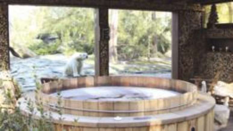 Chalés em zoológico permitem ver grandes animais até enquanto se toma banho em jacuzzi