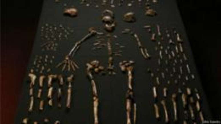 Homo naledi tem características humanas primitivas e modernas
