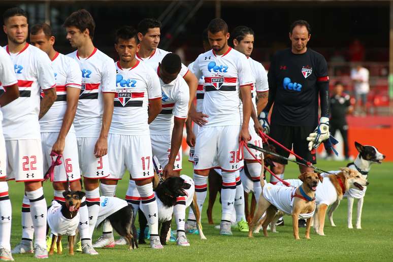 Em ação de marketing, jogadores do São Paulo entram em campo com cachorros para estimular adoção