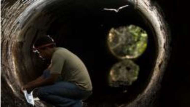 Pesquisador da UFES &Aacute;ureo Banhos em trabalho para adaptar os dutos de &aacute;gua fluvial para passagem de fauna; ao alto, um morcego passa pela manilha: ao menos 47 esp&eacute;cies desse mam&iacute;fero j&aacute; foram atropeladas na rodovia