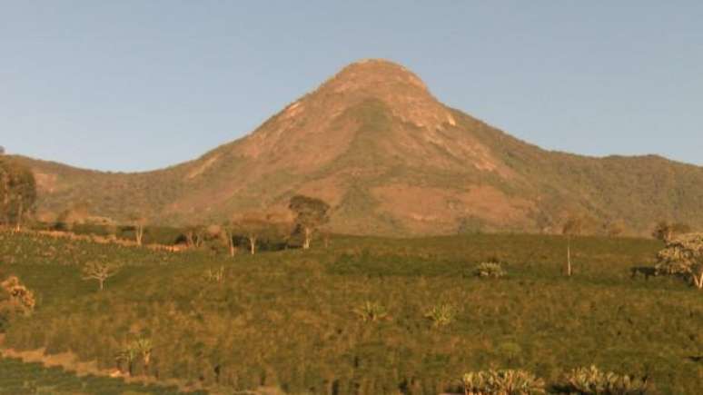 Economia da região da Serra do Caparaó gira, há mais de um século, em torno do cultivo do café