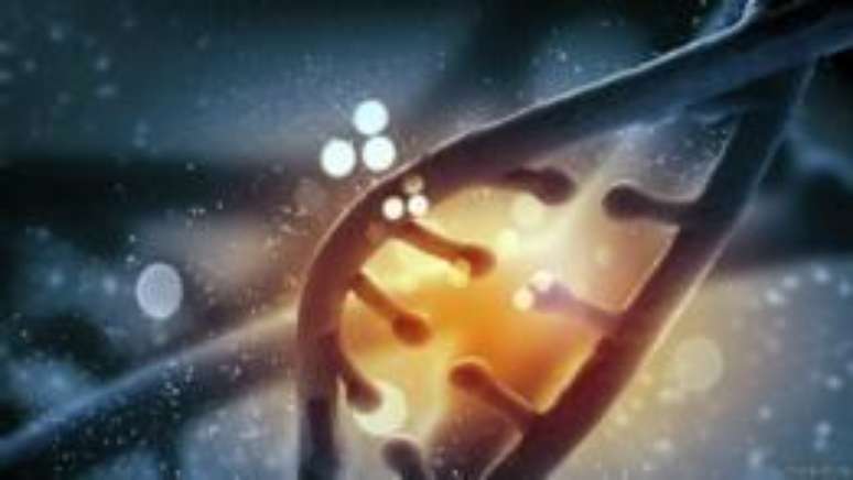 Cientistas usaram técnica conhecida como Crispr para alterar o DNA de células de porco