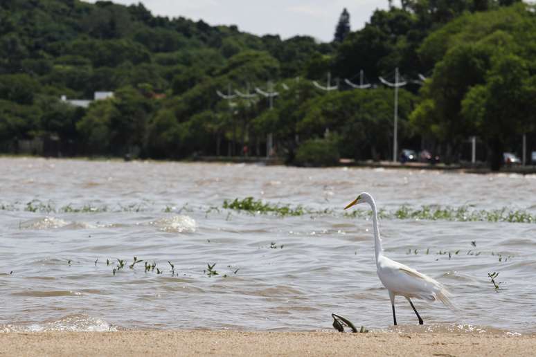 Impacto das chuvas em Porto Alegre