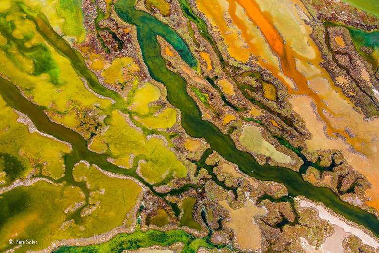 O Parque Natural de Baía de Cádiz, na costa da Espanha, foi retratado nesta imagem aérea chamada "A Arte das Algas".