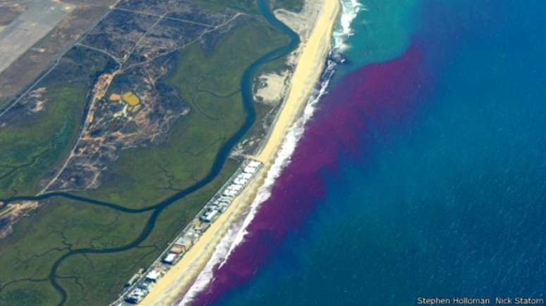 Cientistas lançaram ao mar do sul da Califórnia e de Tijuana grandes quantidades de corante fluorescente rosa e não poluente