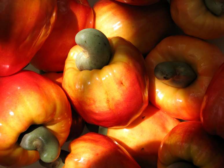 Fruta é fonte de vitaminas e fibras importantes para a saúde.