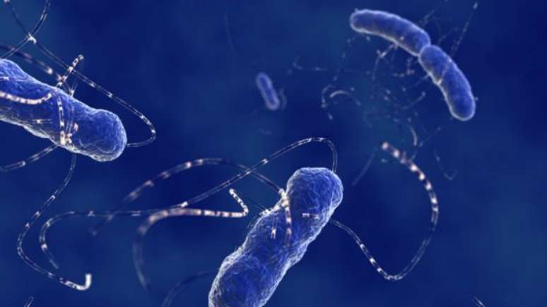 A resistência já se espalhou por várias cepas e espécies de bactérias, como a E. coli