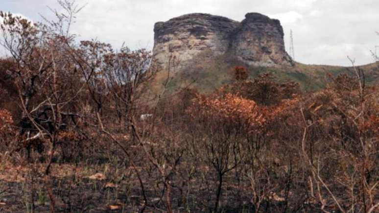 Área queimada próxima ao Morro do Pai Inácio