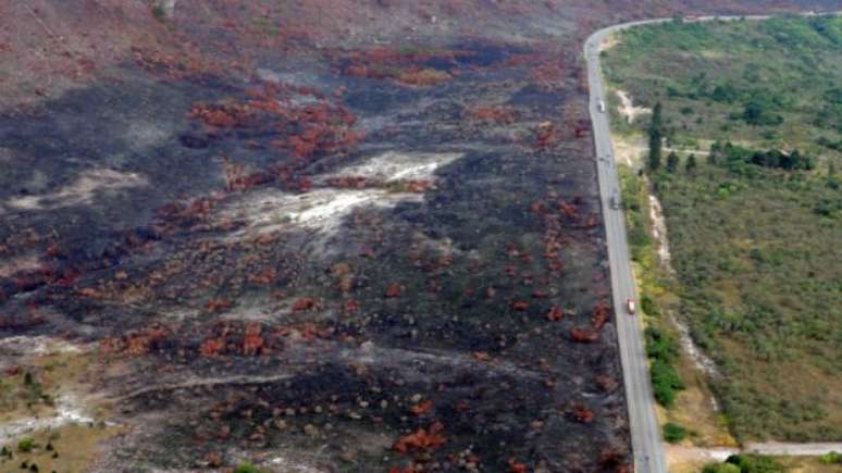 Imagem aérea mostra área afetada à beira de estrada baiana