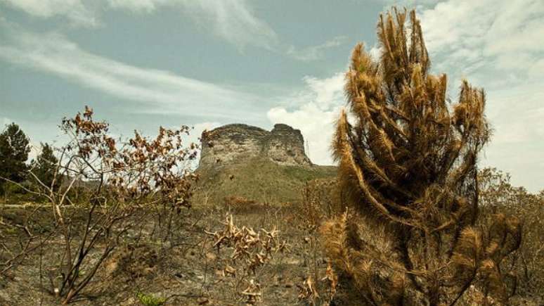 Morro do Pai Inácio, cercado por vegetação queimada