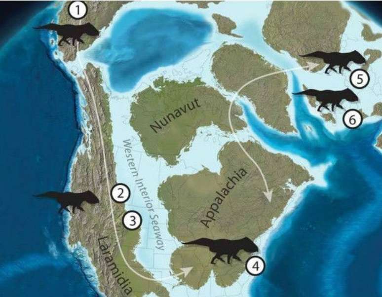 Am&eacute;rica do Norte estava separada por um mar pouco profundo