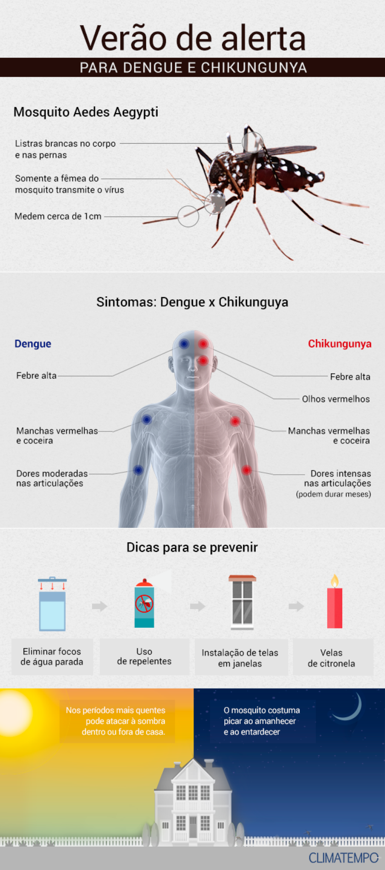 Verão de alerta para Dengue e Chikungunya