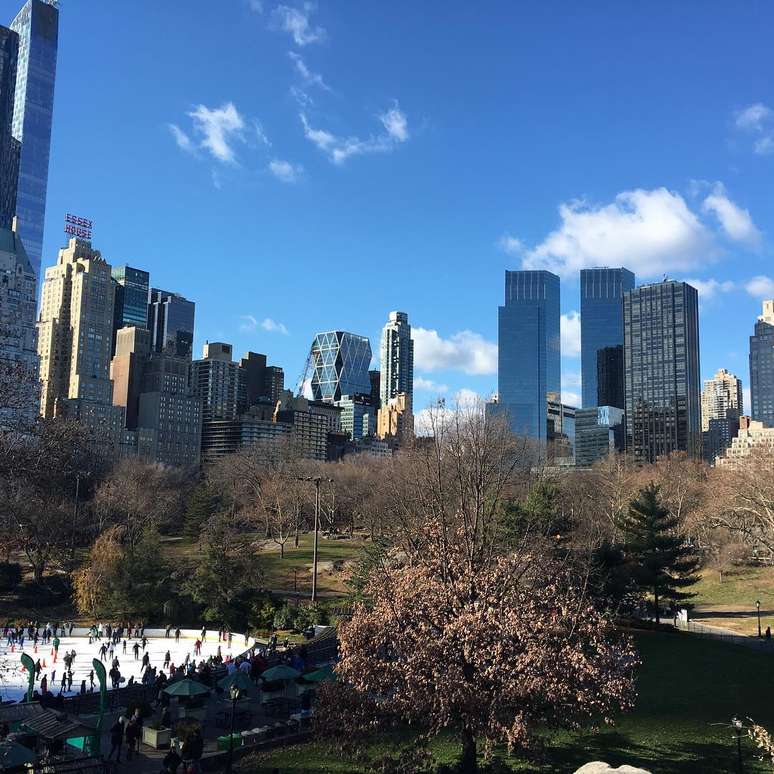 Especialistas tentam encontrar as causas do fen&ocirc;meno