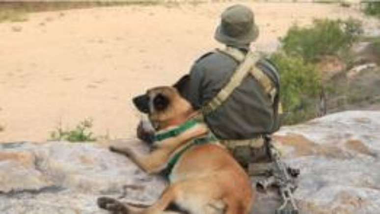 Cão e seu tratador são encarregados de perseguir caçadores